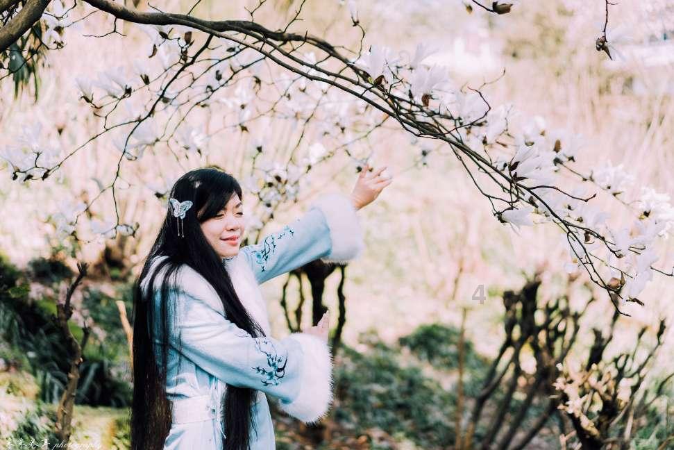 遗失之森